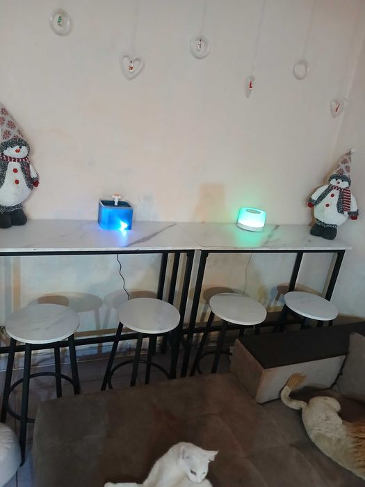 2 mese de bar  cu 4 scaune