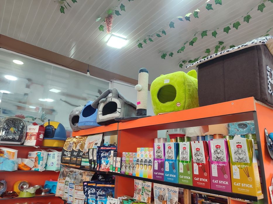 Mushuk oʻyinchoqlari