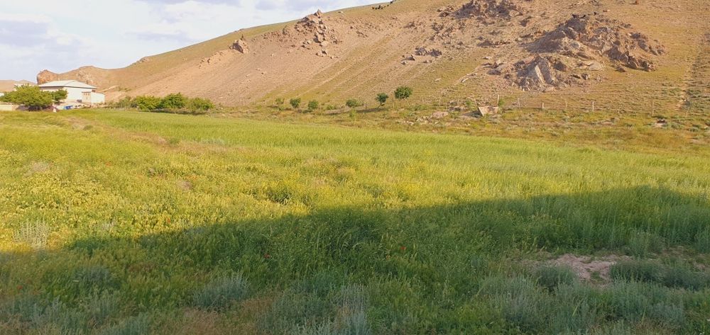 Bo‘sh yer maydoni SROSHNI sotiladi pul zarur