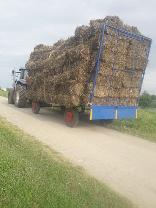 Platforma de baloti