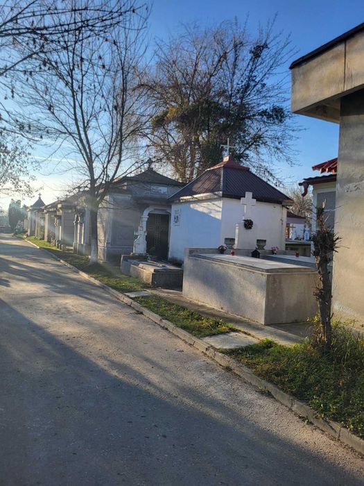 Vand locuri de veci in sf, Gheorghe Pitesti