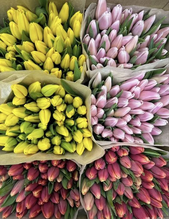 Тюльпаны предзаказ оптом к 8 марта