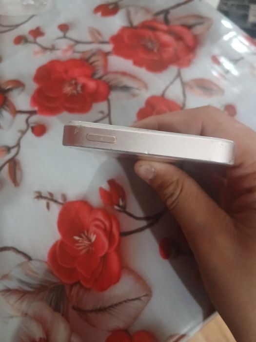 iPhone 5S display spart