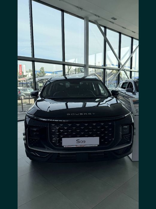 SOUEAST 09 люкс тук йашил хамелеон ранг