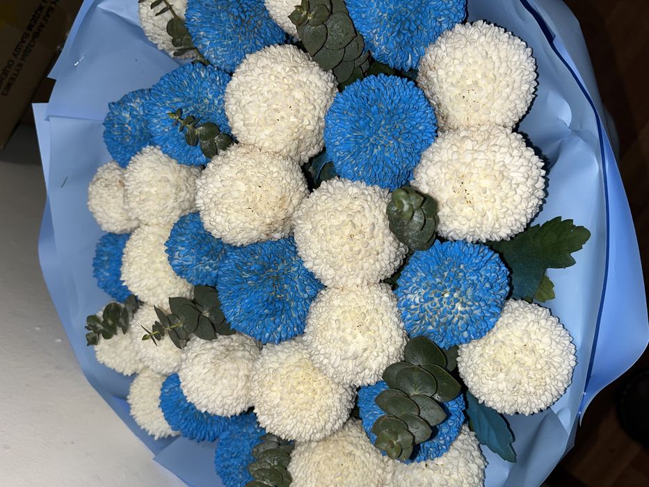 Цветы момоко тренд