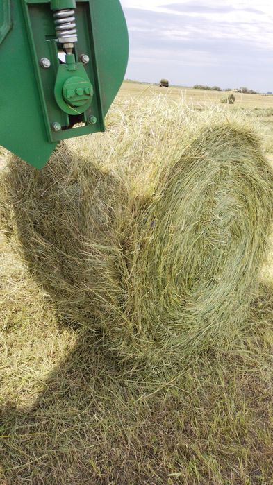 Продам рулоны 2025