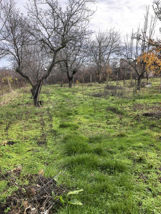 Продава се Къща в Плевен, м-т Мъртва долина - 20 кв.м за 424 €/кв.м - Снимка #5