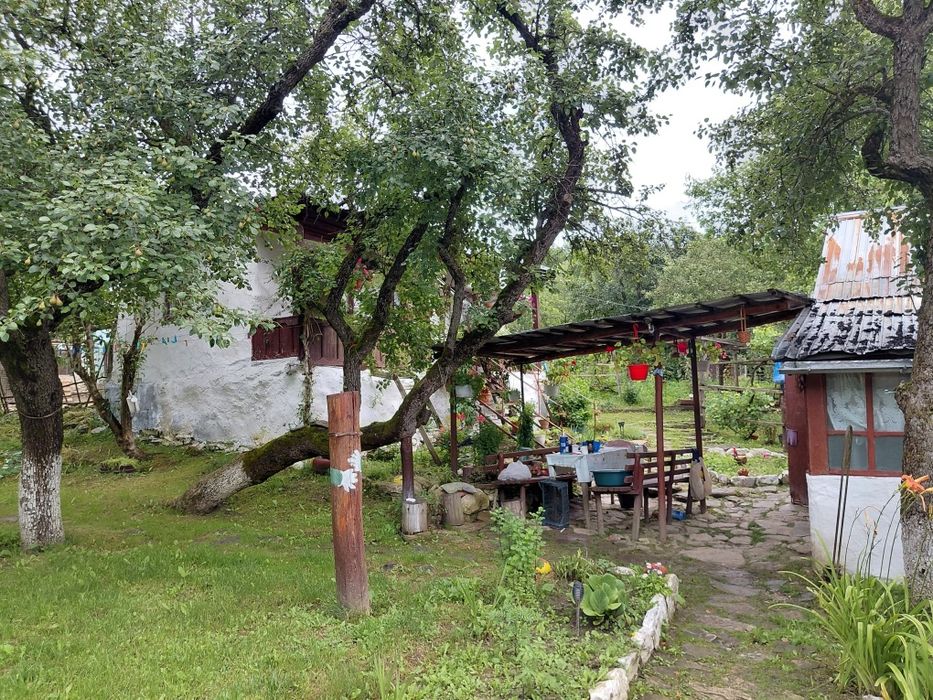 Casa Tradițională de vânzare