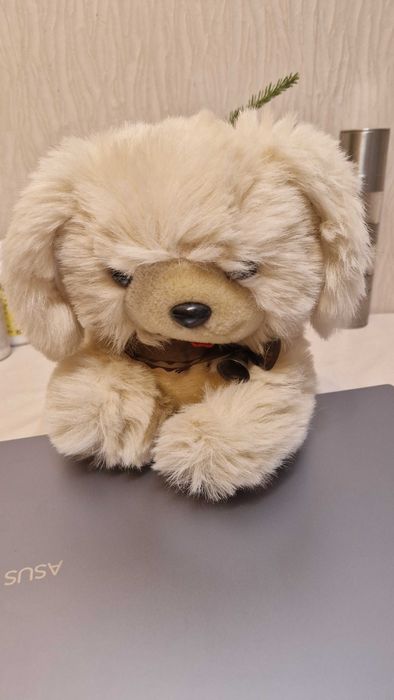 Мягкая    игрушка