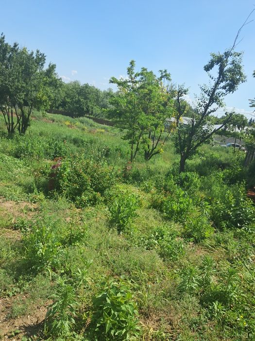 Casa  curte sitoat  la 30 k de bucuresti giurgiu