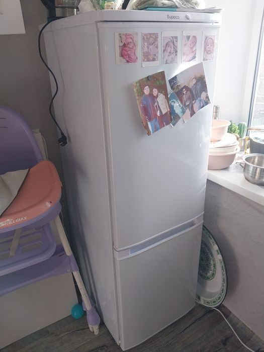 Холодильник Бирюса
