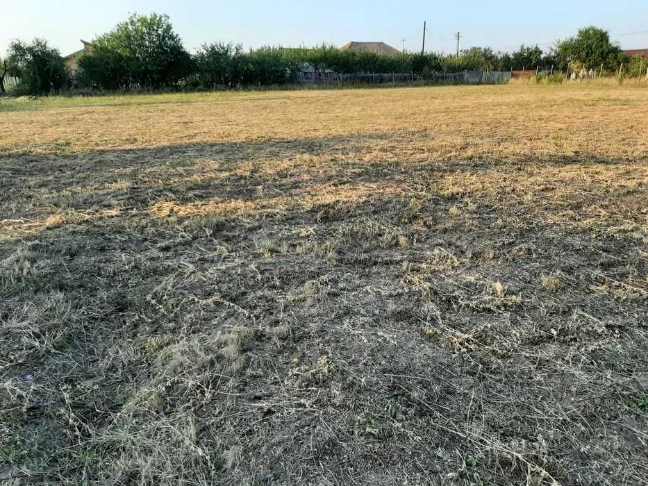 Ter. intravilan 871 mp, lângă Slatina, asfalt/utilități, zonă liniștit