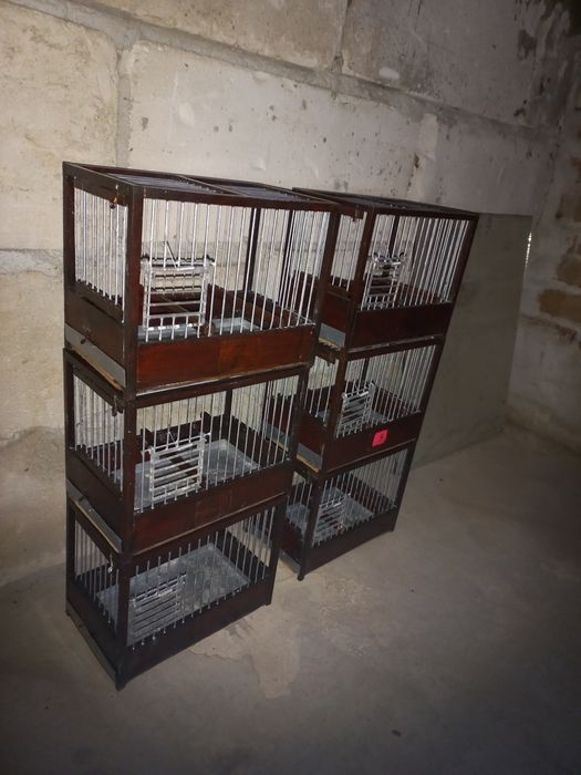 Colivii de cântec se vinde la set