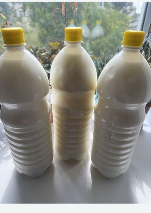Қымыз сатылады (Кумыс), натуральный, домашний