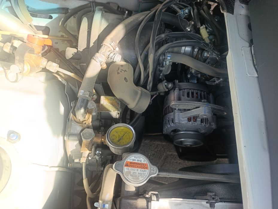 Other Damas 2024 — 3