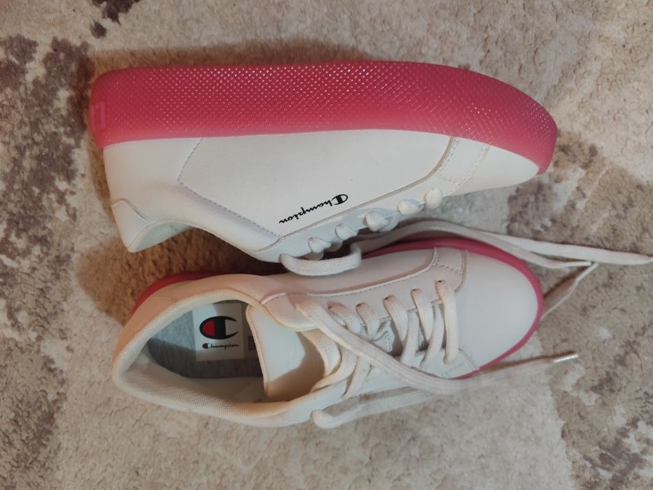 Champion 36 номер