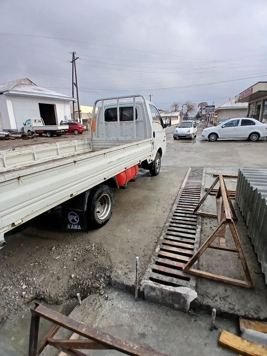 Kama Kama Porter  Bongo