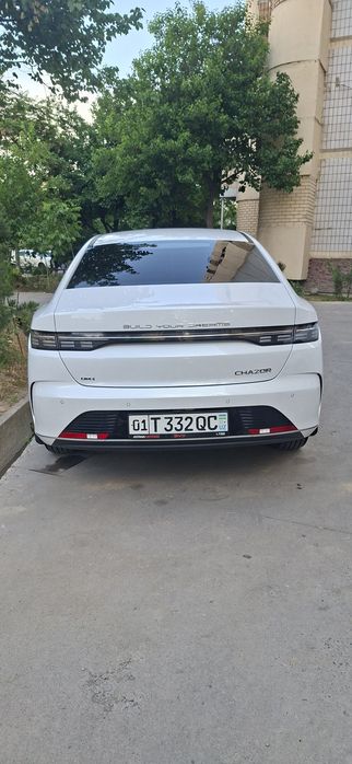 Chazor byd 120 tali 2025