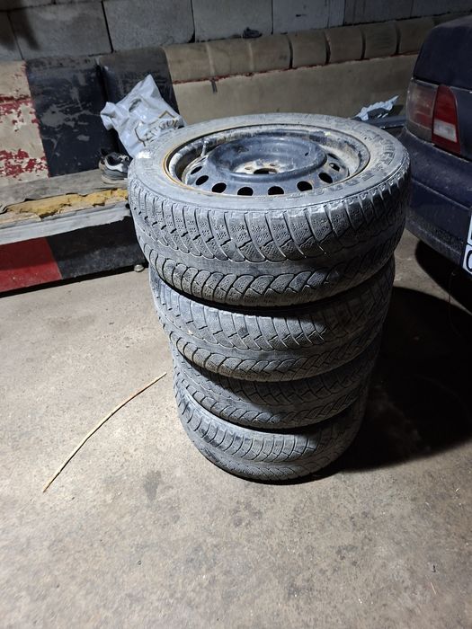 Диски с ризинами