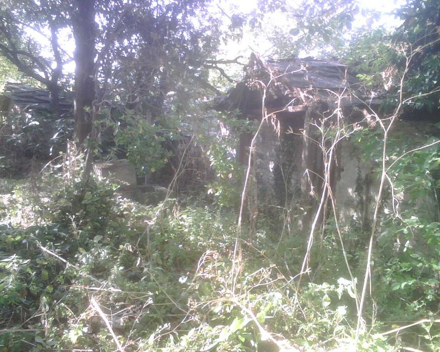 Продава се Парцел в с. Извор, Област Пловдив - 500 кв.м за 40 €/кв.м - Снимка #1