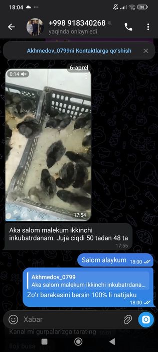Inkubator 12v/220votli ishlaykon