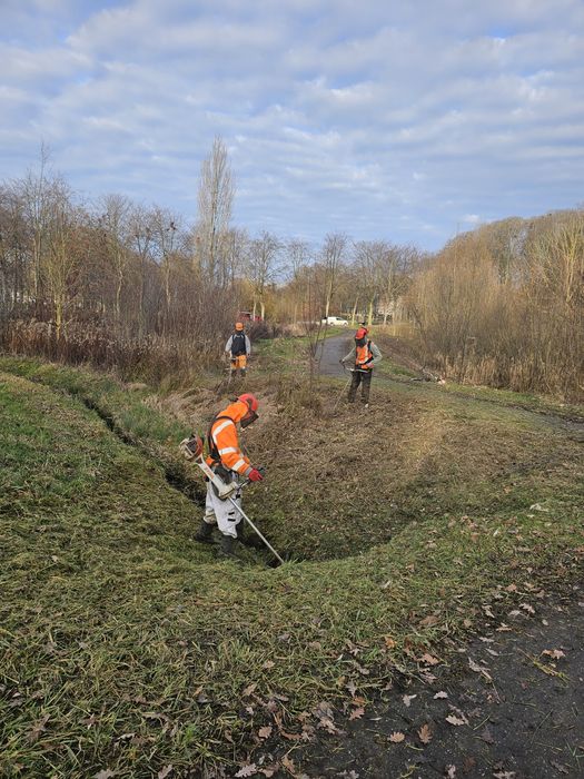 Defrisari terenuri Cosit iarbs, parcuri, păduri
