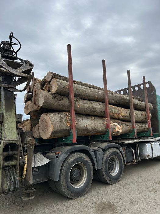 Transport Lemn de foc