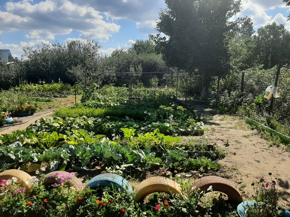 Продам дачу Мелиаратор