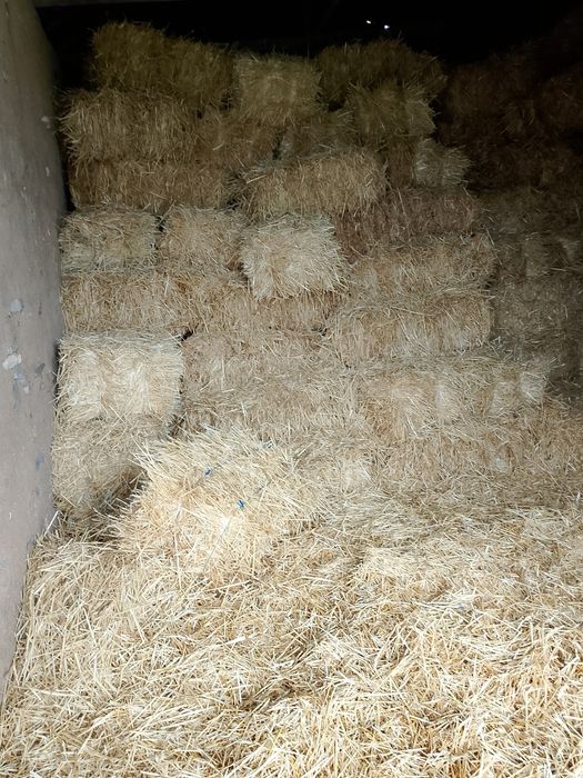 Бали слама на цена от 2 £