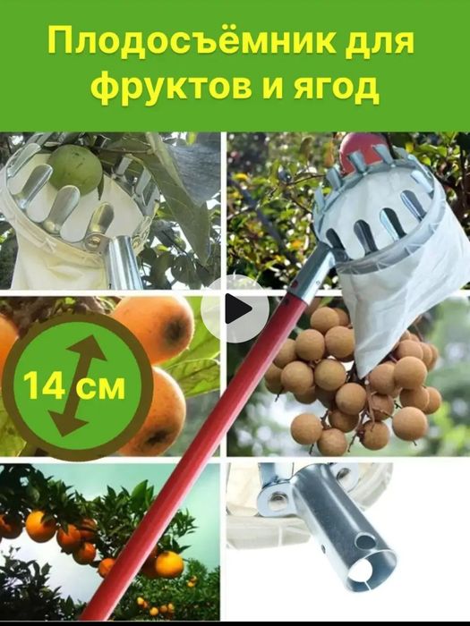 Фруктовый плодосборник