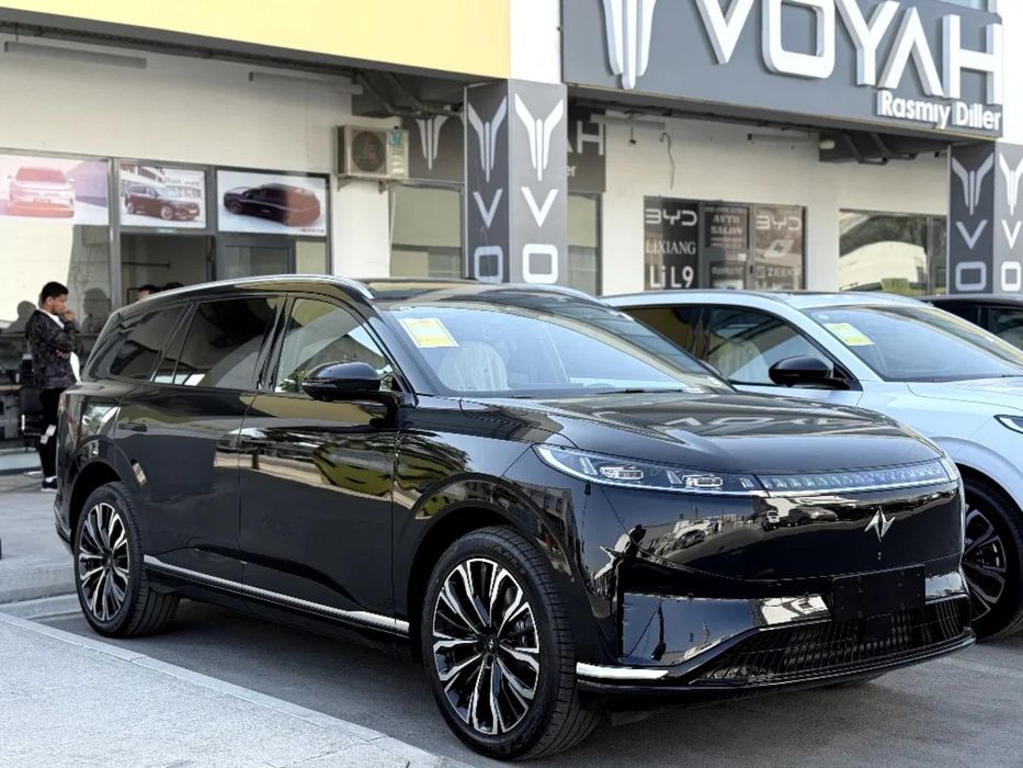 DONGFENG 008 Hybrid 2026 ega‼️