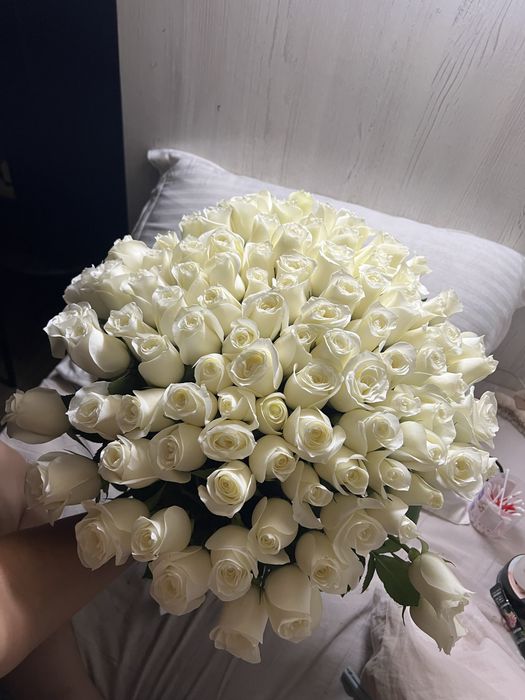 Свежие белые розы, 101 штука