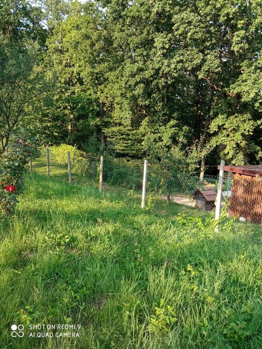 Vand Teren Intravilan Cisnadioara