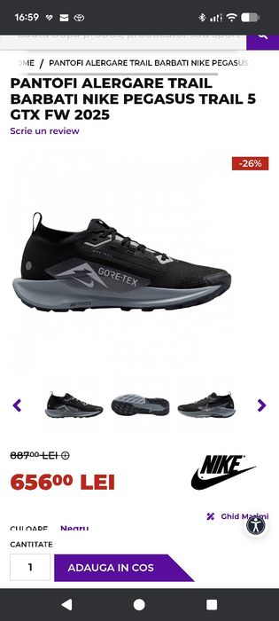 Nike trail goretex 43