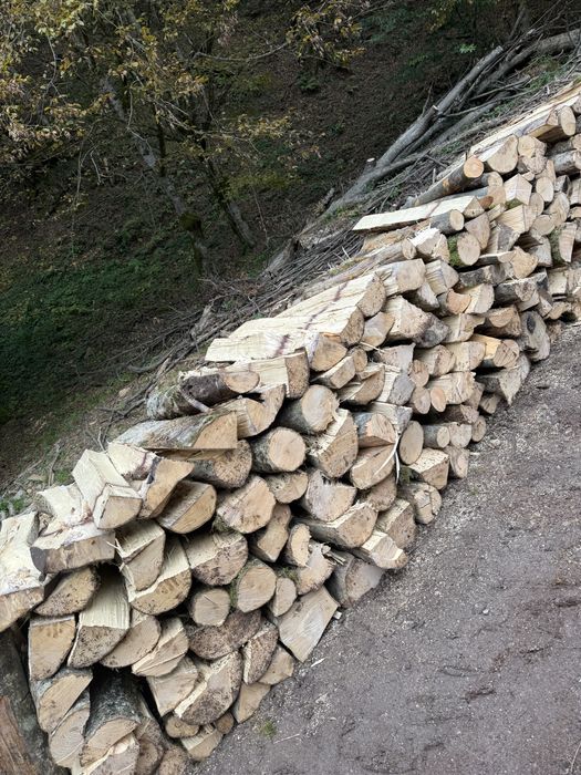 ‼️Vindem lemne de foc la 1800 de lei mașina lemne de esențe tarii‼️