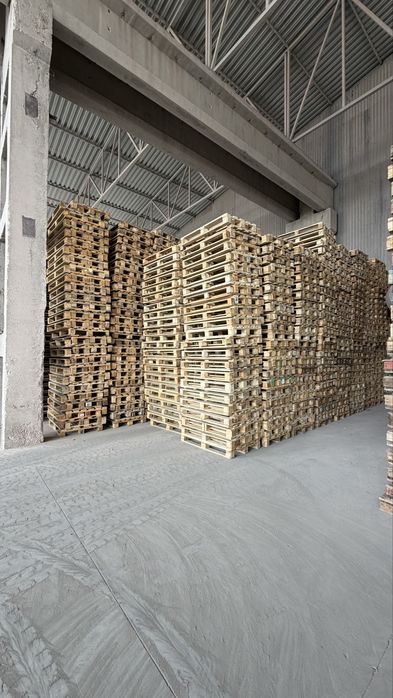 120/80 paddon rassiski yevro