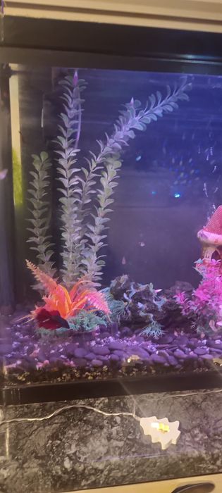 Аквариум 120 литров