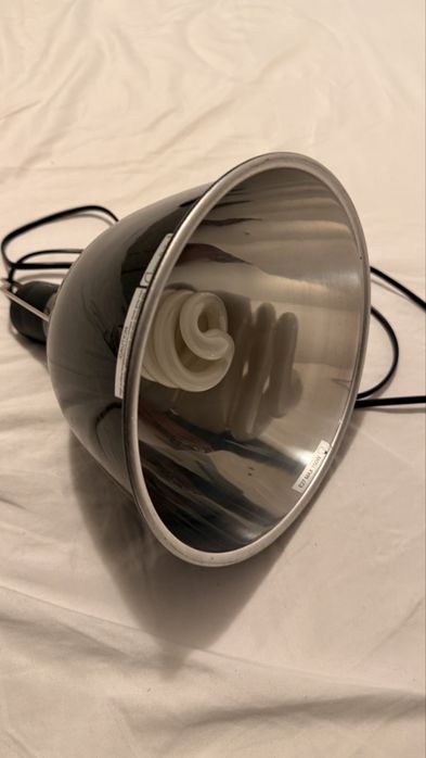 Terrarium Diversa 30 × 30 × 60 cm + dom pentru lampă