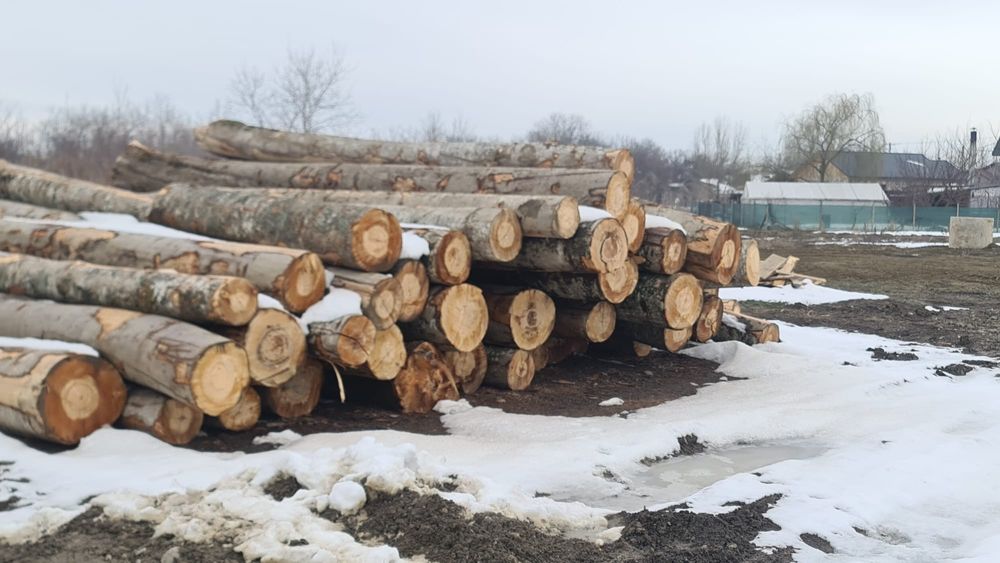 Fag lemn de foc/lucru