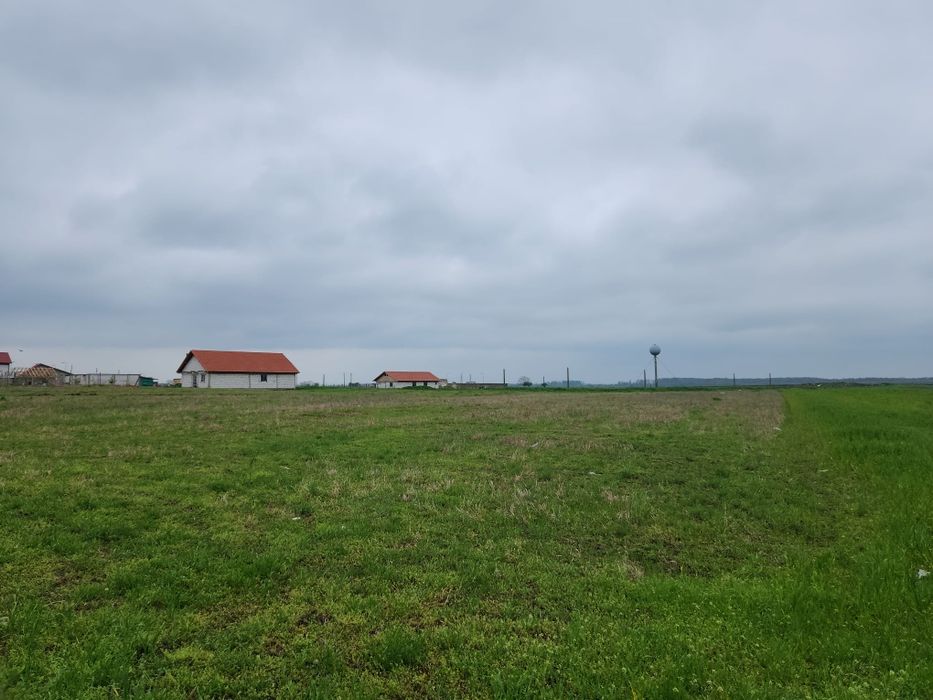 Casa + teren Rogova 7000mp