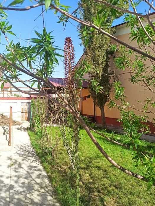 Дом- коттедж 6 соток, 130 кв.м, 15 км от центра города