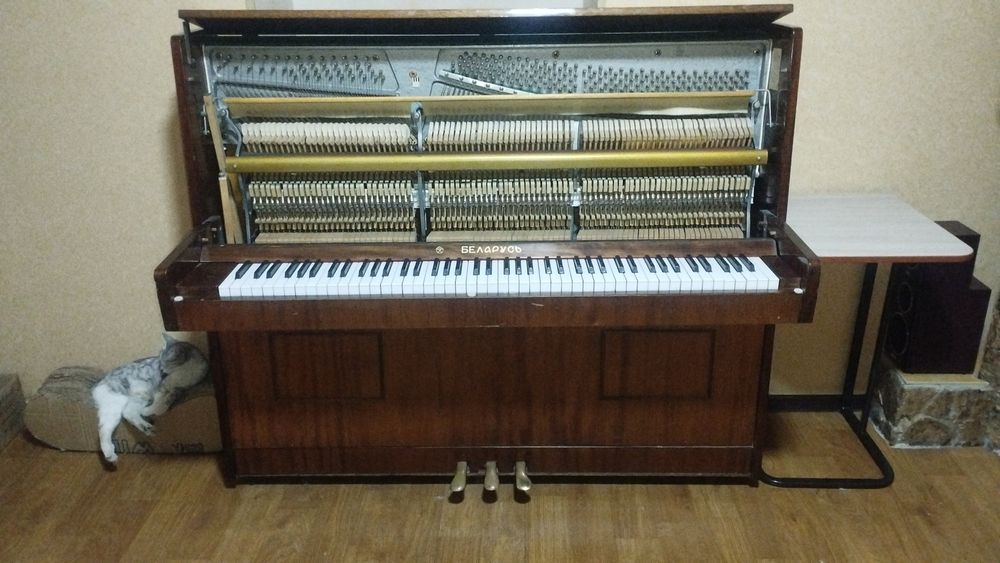 Фортепиано Беларусь трёх педальное