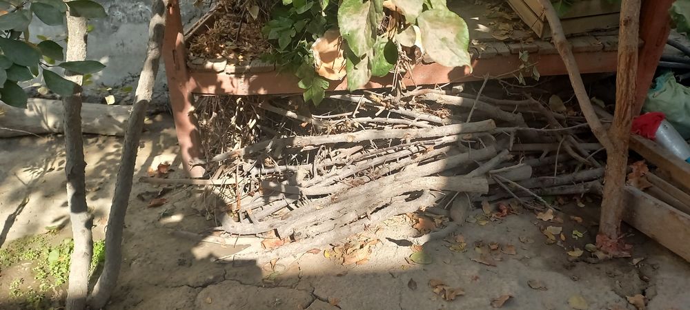 Quruq o'tin sotiladi