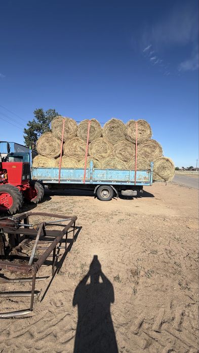 Продам сено в рулонах 200 кг