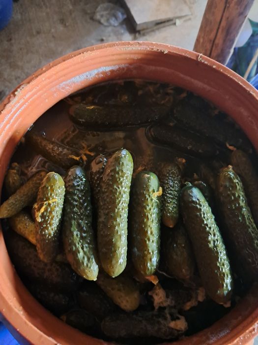 Vand castraveți murati in saramura