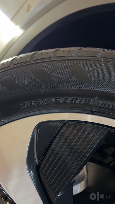 R19 balon summax byd eqiunox
