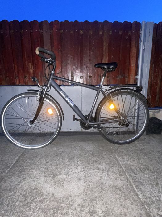 Bicicleta adulti