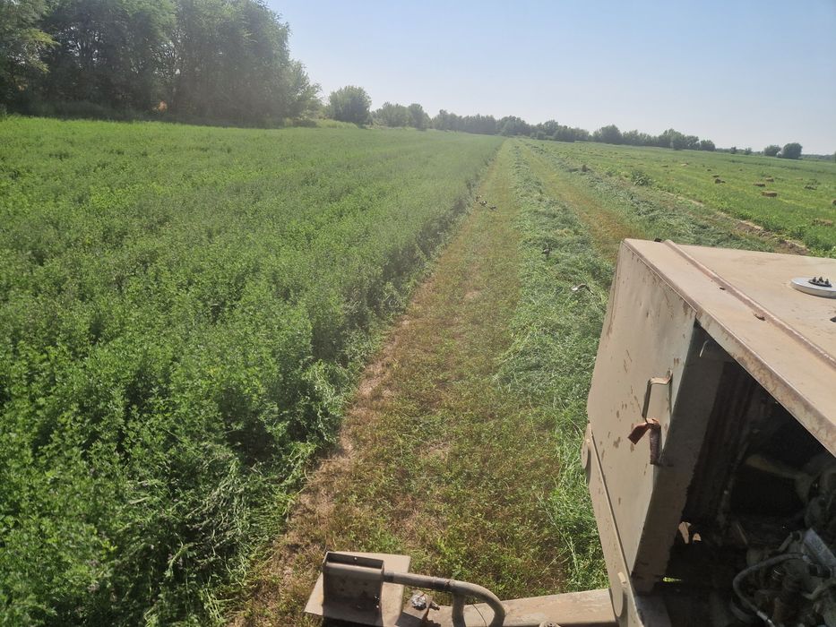 Жоңышқа пресс 2500 тг.