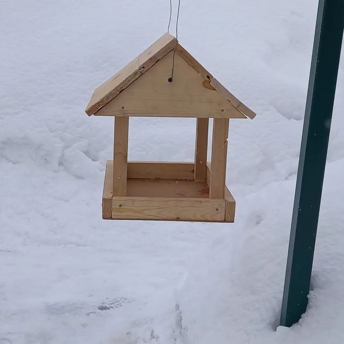 Кормушки для птиц