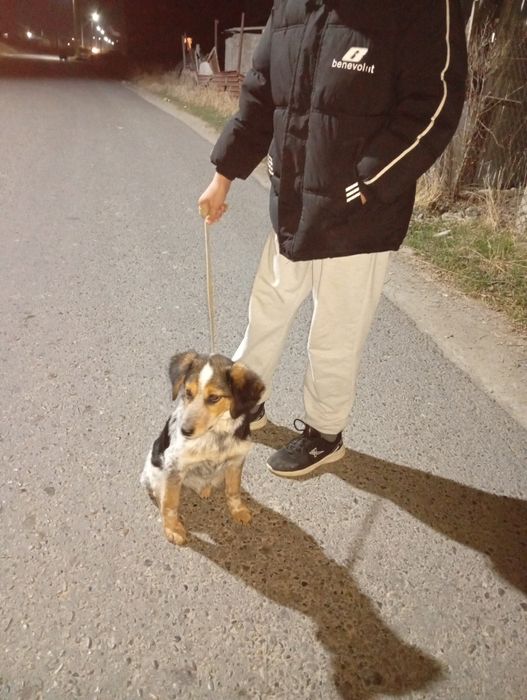 Драхтар сатылады